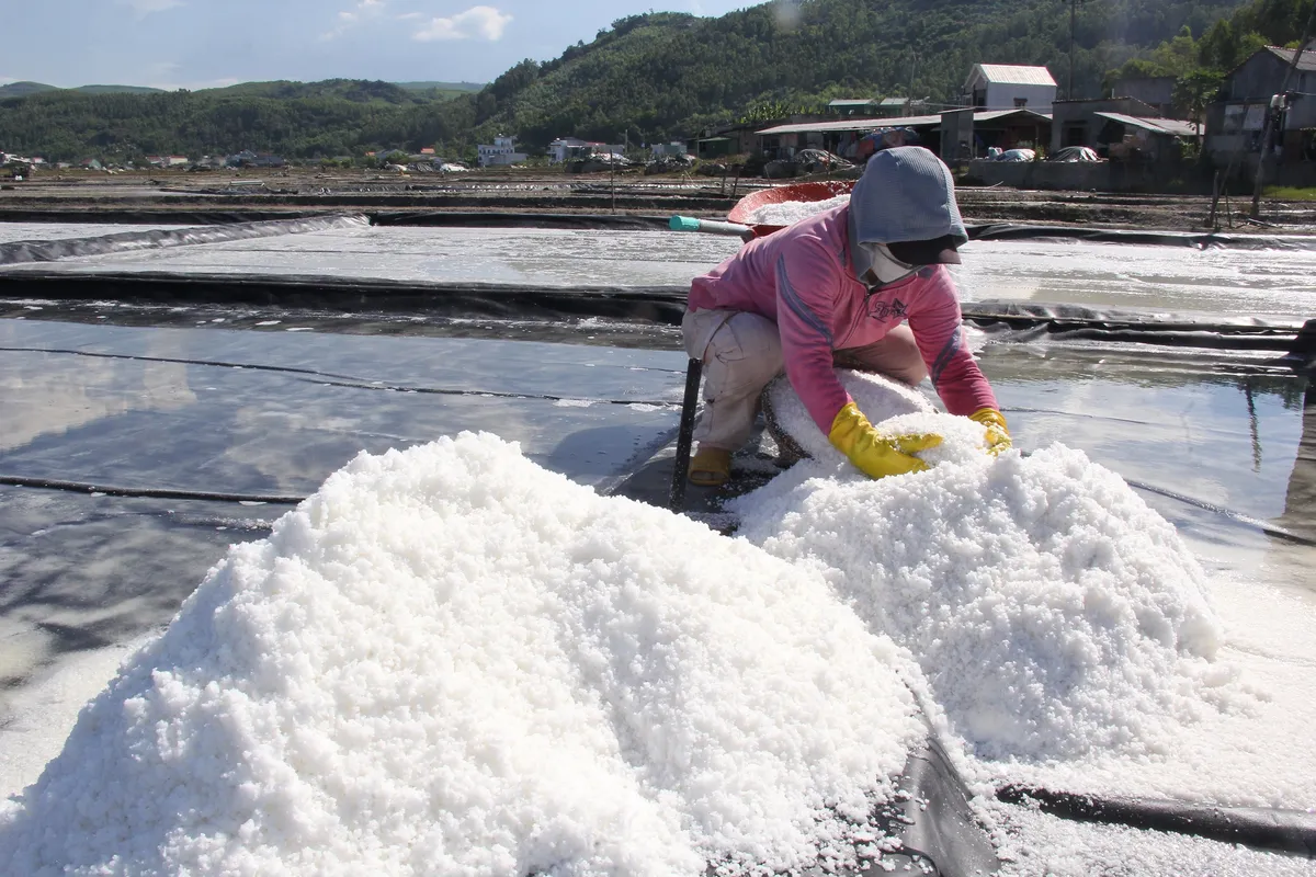 đồng muối Sa Huỳnh - Ảnh 2.