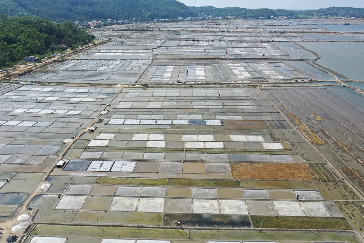 đồng muối Sa Huỳnh - Ảnh 4.