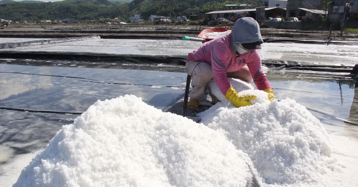 Đánh thức đồng muối Sa Huỳnh: Giữ nghề trăm năm, mở lối làm du lịch
