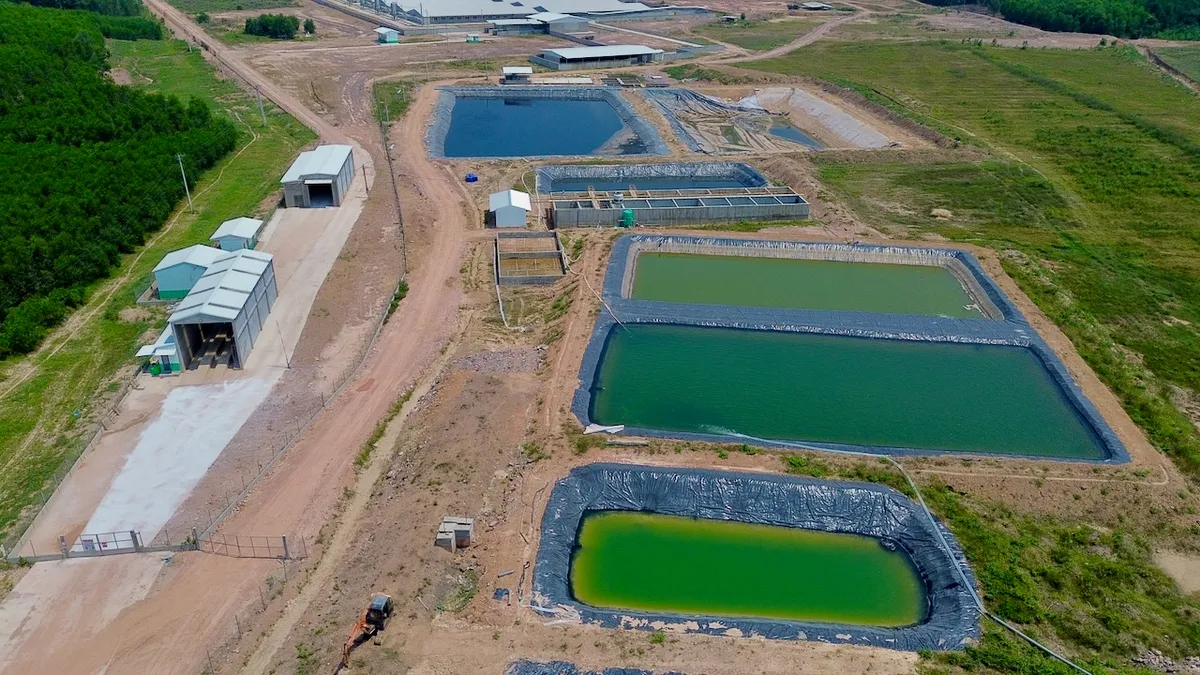 Mùi hôi từ trại heo 'tra tấn' người dân: Yêu cầu khắc phục trước ngày 2-5 - Ảnh 2.