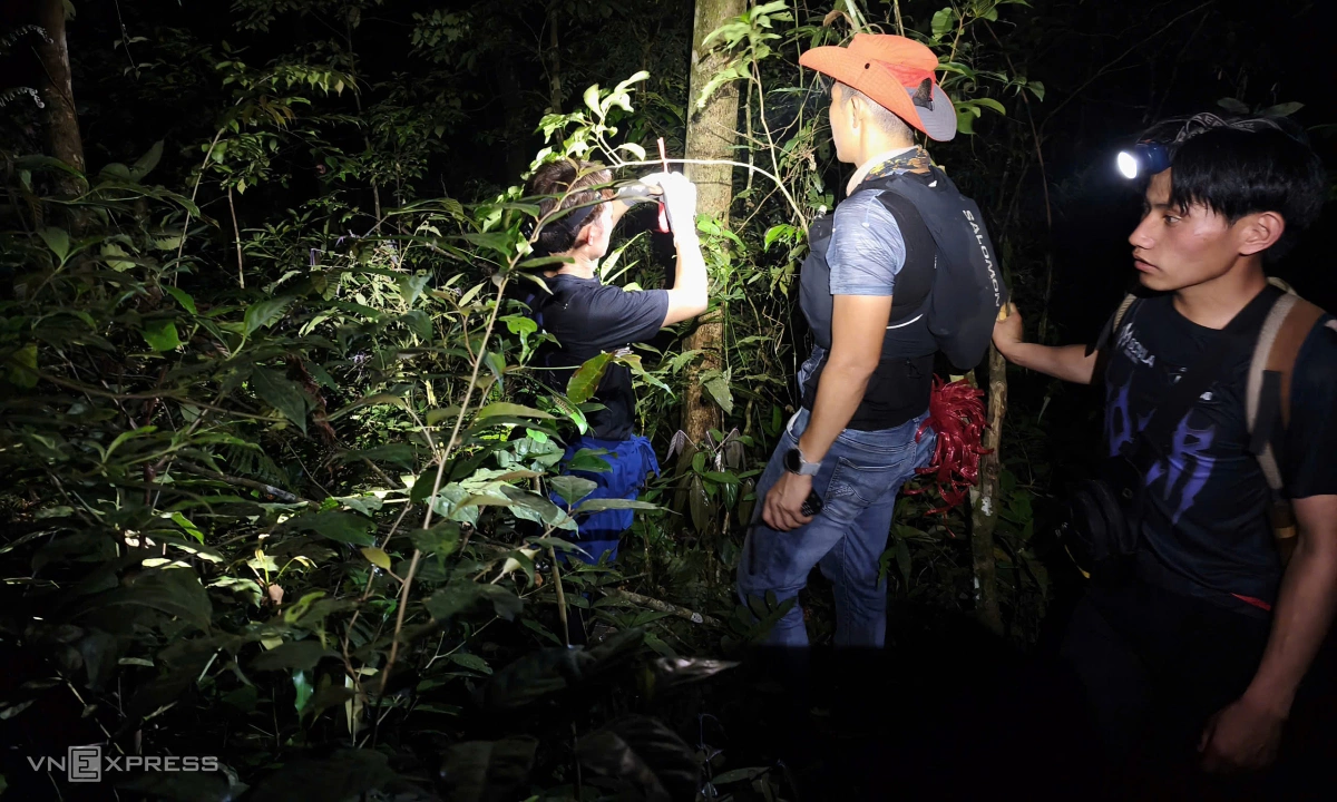 Những người xa lạ xuyên đêm tìm nam sinh mất tích ở Tam Đảo