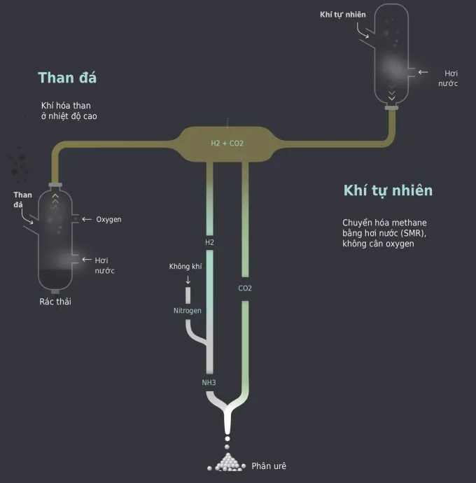 Quá trình sản xuất phân urê bằng than và khí. Đồ họa: Reuters