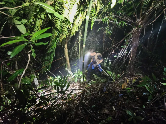 Tim kiếm người mất tích trong rừng Tam Đảo. Ảnh: Đăng Khoa